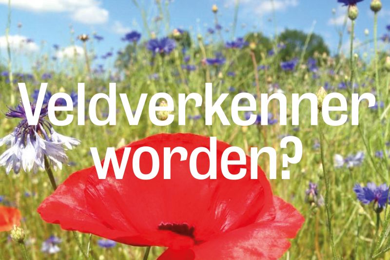 Update Veldverkenningen